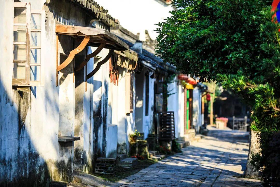 奇妙恐龙世界